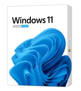 Windows 11 Version 21H2